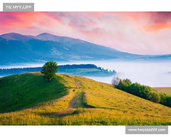 感受小满时节的自然馈赠：五种独特的自然体验与心灵之旅