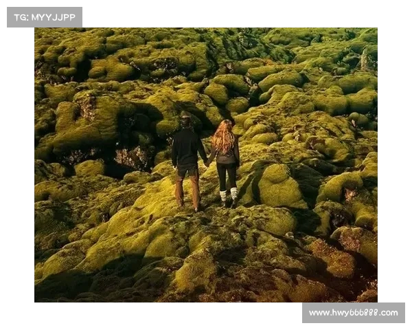 沼光湖探秘：历史遗迹与神秘现象交织的诡异旅程