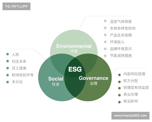 从品牌曝光到社会责任安联赞助商影响力的多维度解析