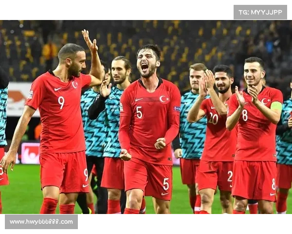 恰尔汗奥卢能否引领土耳其战胜格鲁吉亚取得胜利 恰尔汗奥卢能否引领土耳其战胜格鲁吉亚取得胜利